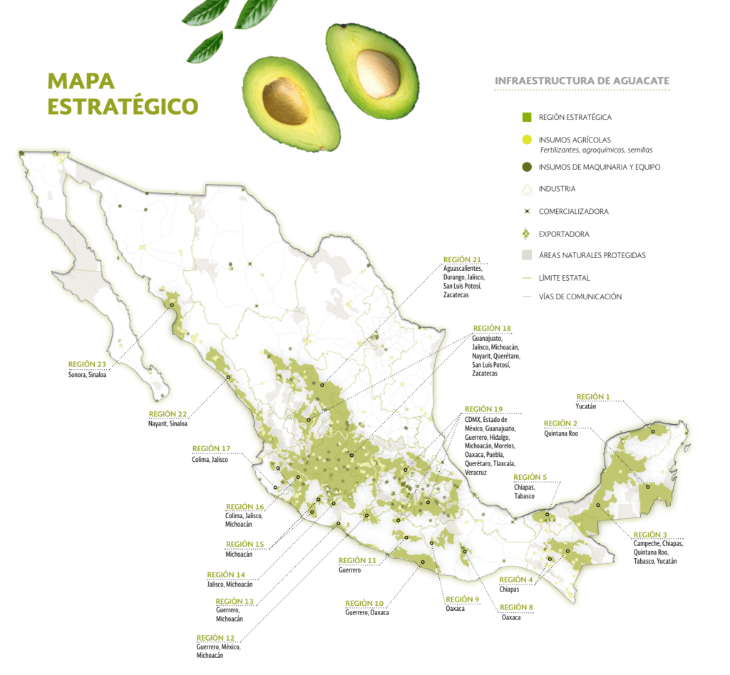 mapa aguacates