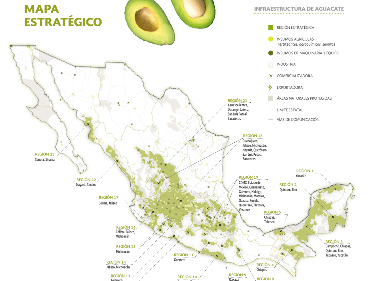 Mapa aguacate