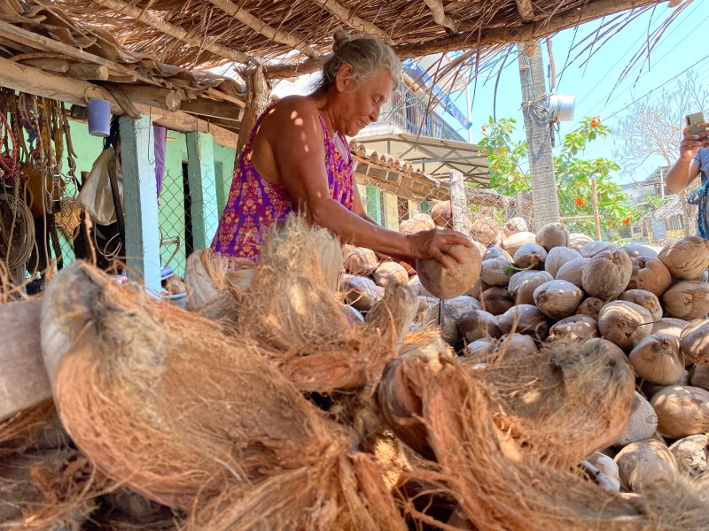 Mujer produciendo aceite de coco