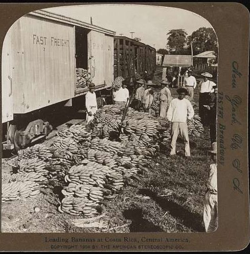 Cargando tren con plátano en Costa Rica