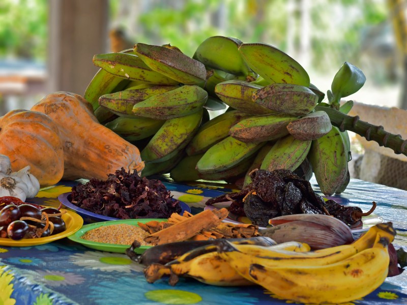 Ingredientes cocina afromexicana