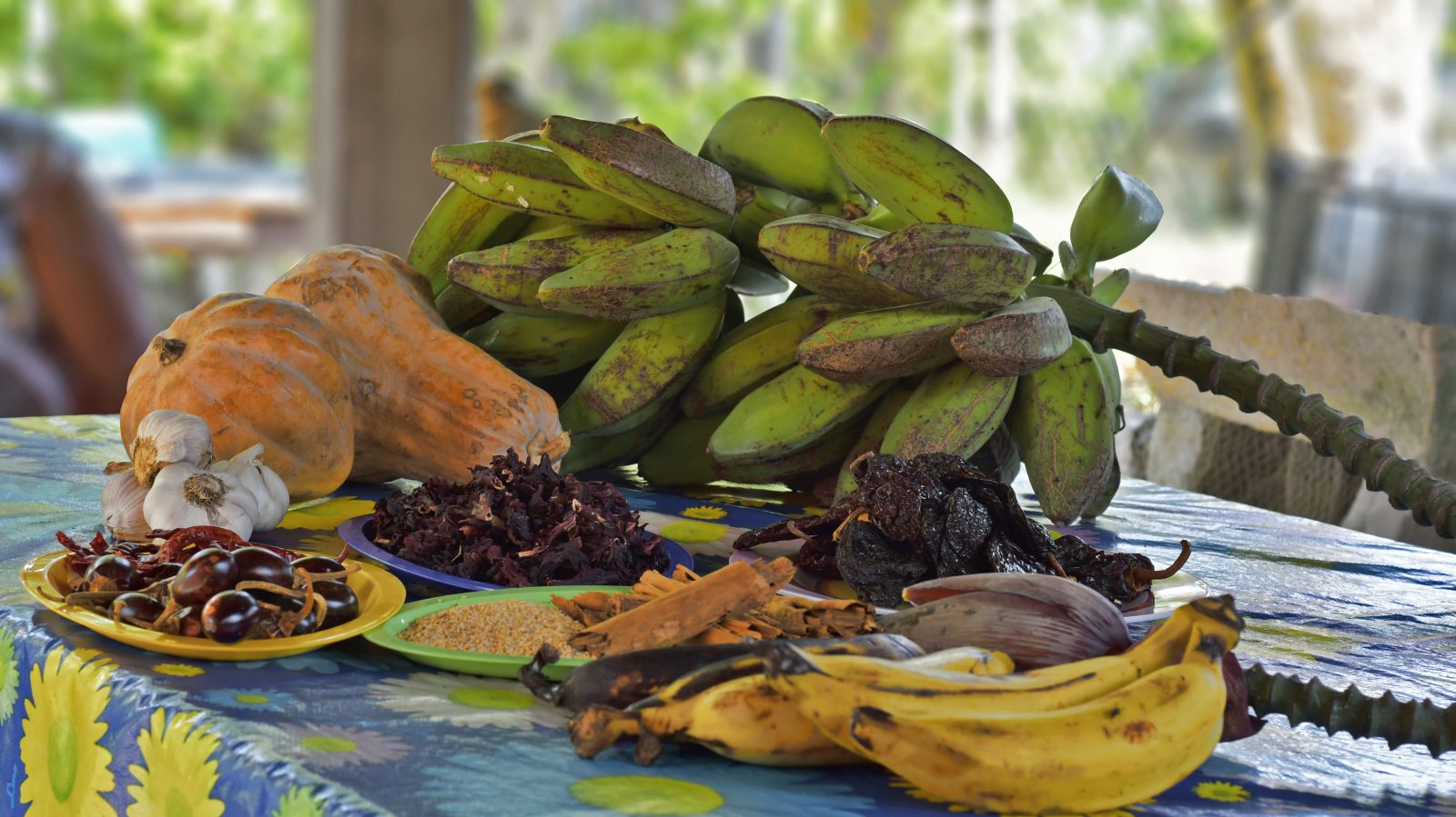 Ingredientes cocina afromexicana
