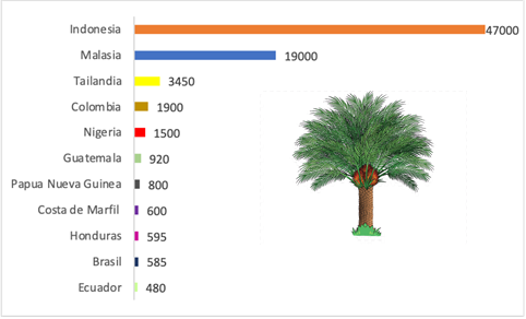 Productores de plama de aceite