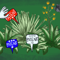 Manos, plantas, patentes y dinero.
