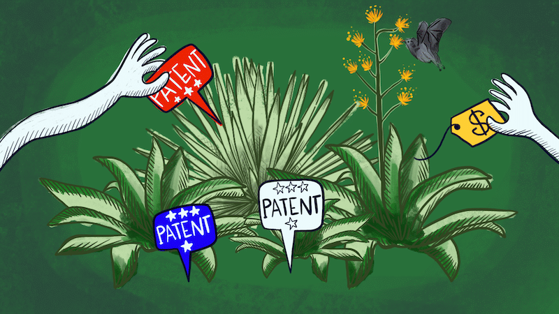 Manos, plantas, patentes y dinero.