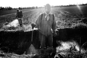a man spraying a field