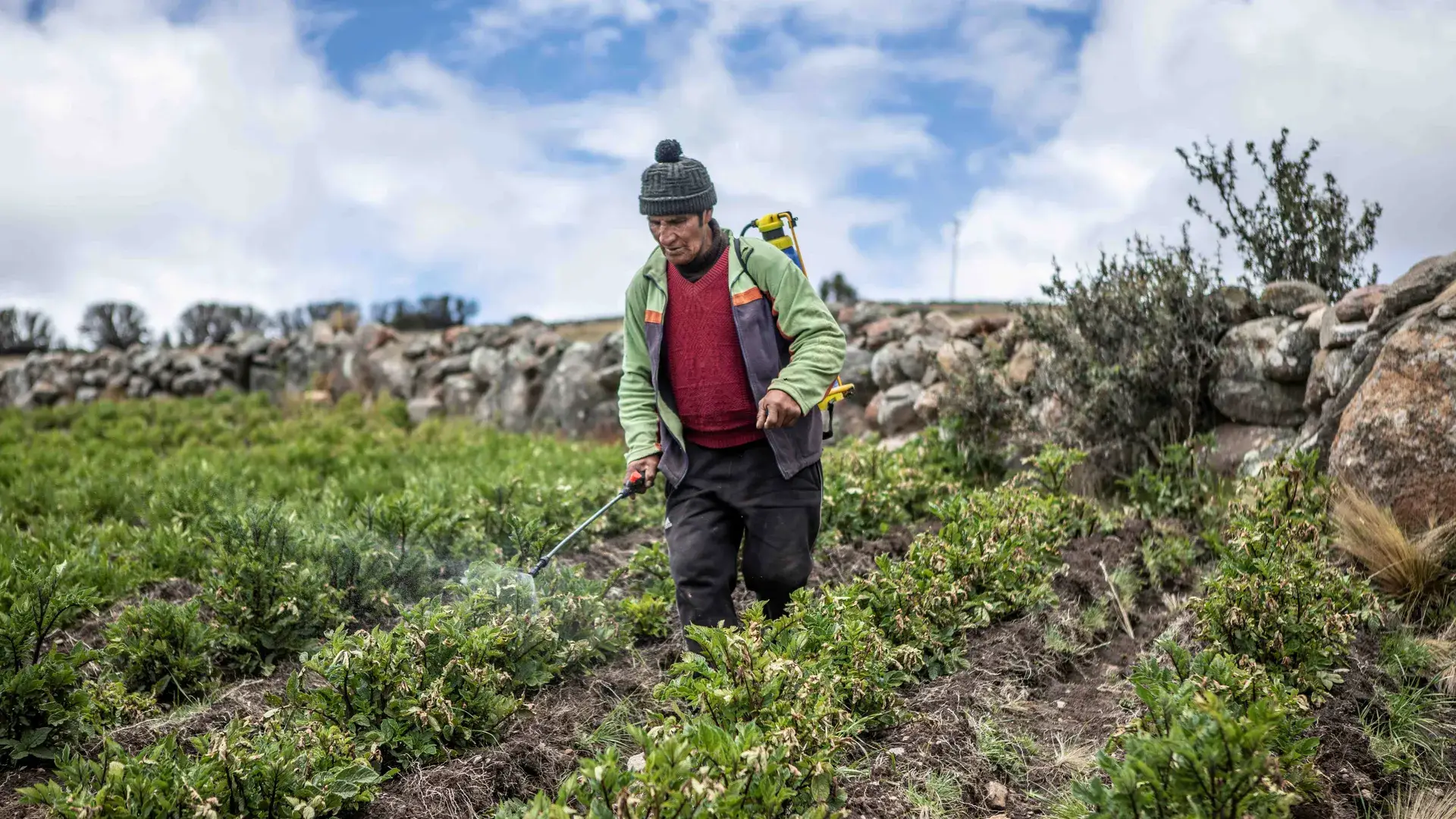 Máximo Ticllacuri la resistencia de la agricultura