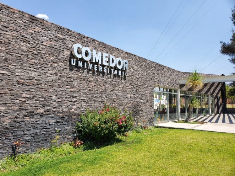 Inseguridad alimentaria en las universidades