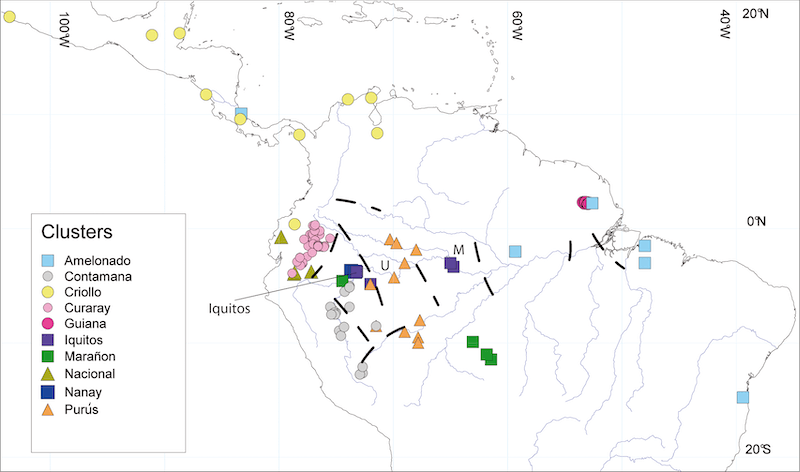 Cacao genetic clusters WikiCommons