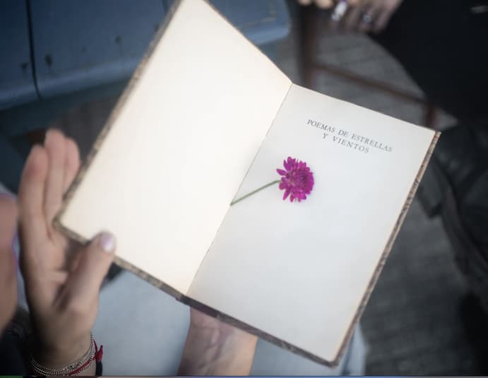 Libro abierto con flor dentro.