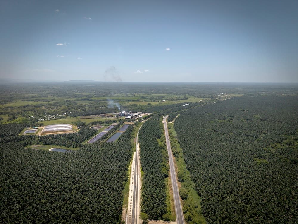 Plantaciones de aceite de palma y tren interoceánico