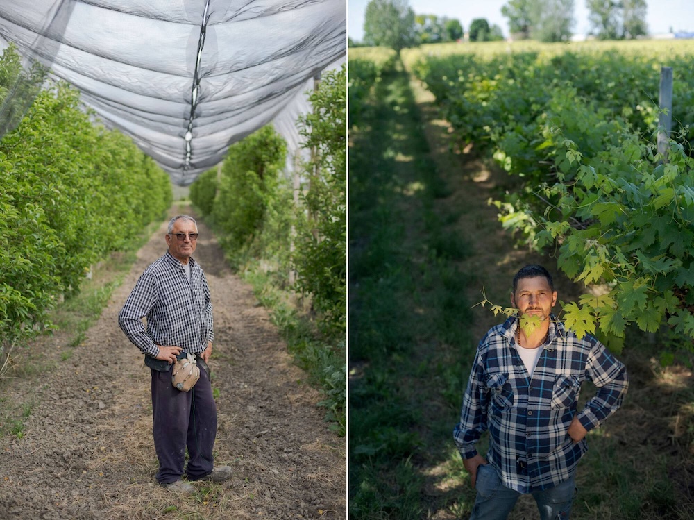 Agricultores italia