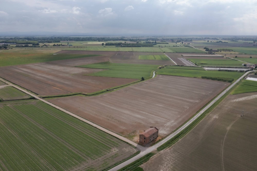 Terreno agrícola en la mira de los desarrolladores de proyectos fotovoltaicos y agrivoltaicos en Argenta, Ferrrara. Mayo 2025.