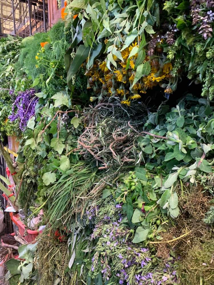 Puesto de herbolaria en el mercado de Sonora en la Ciudad de México. Foto de Ana Luisa Islas.