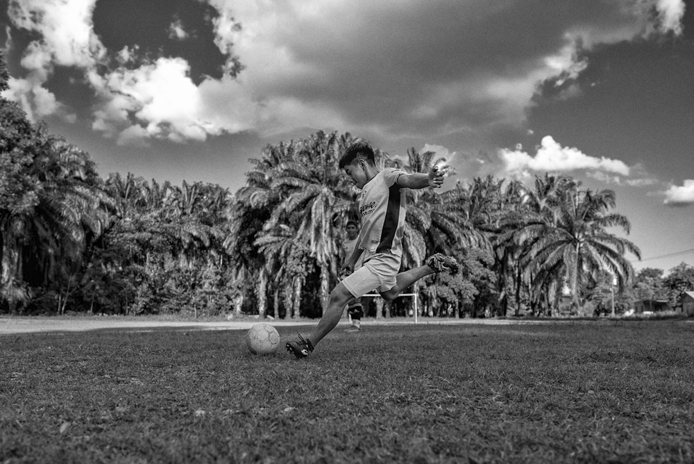 Palmas de aceite y futbol