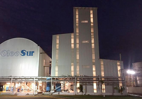 planta Oleosur