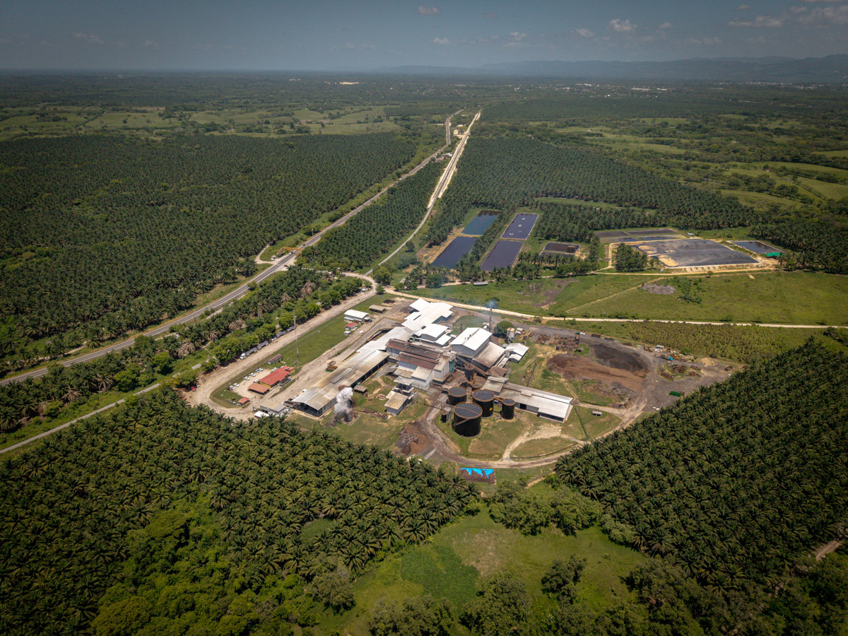 El Complejo industrial palmero