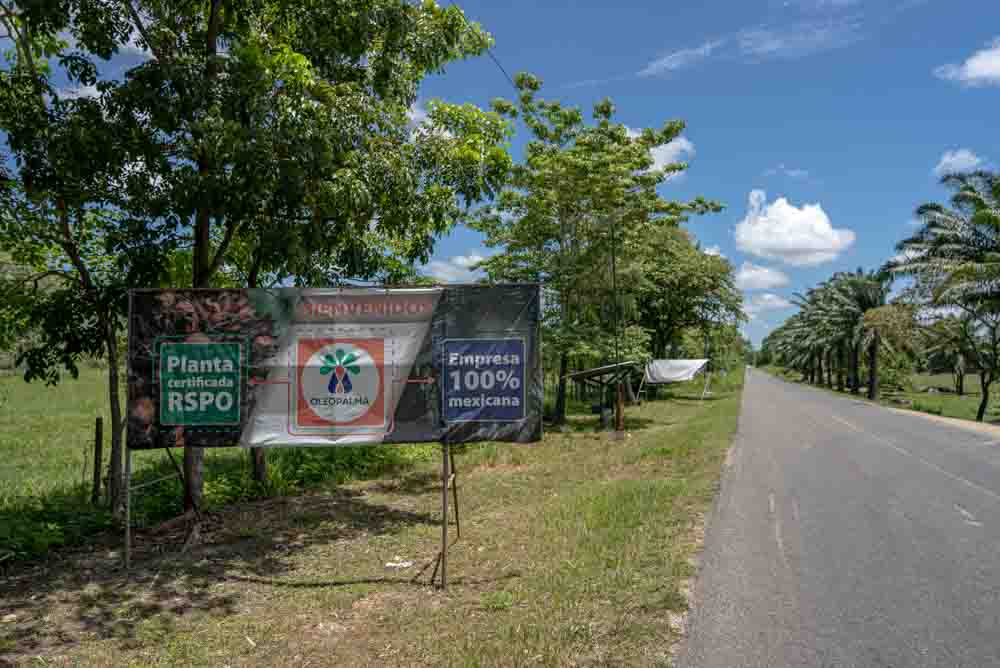 Oleopalma