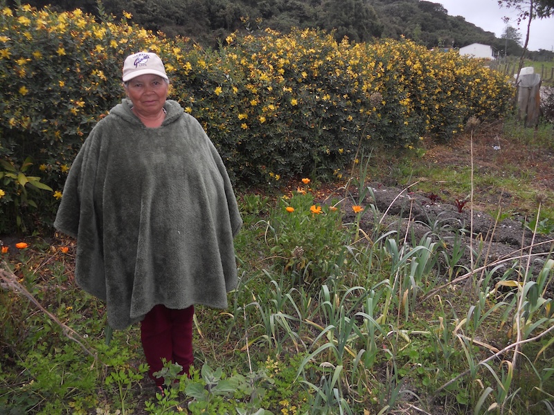 Inés García en su huerta. foto María Paula Contreras