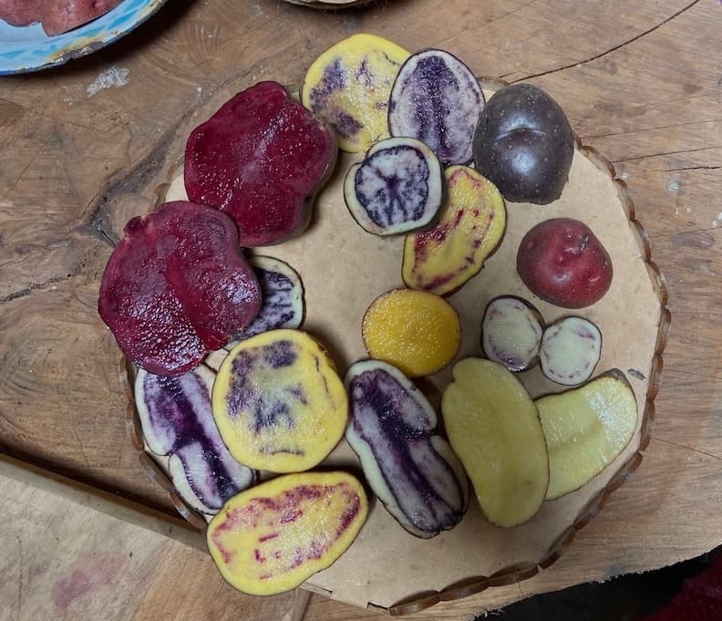 Variedad de papas de colores