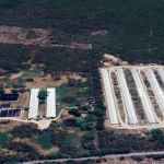 Imagen satelital industria cárnica