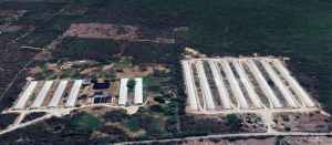 Imagen satelital industria cárnica