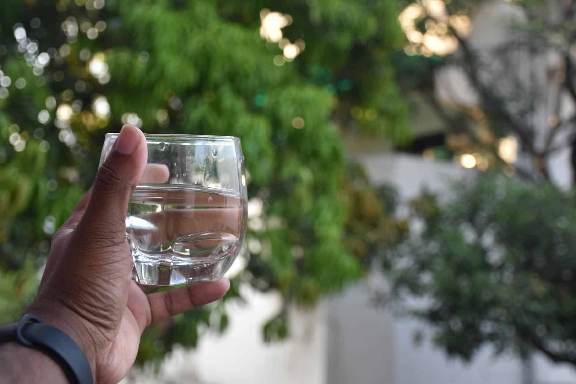 person holding a glass cup