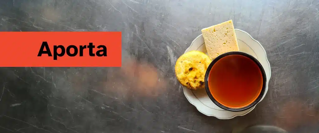 Aporta