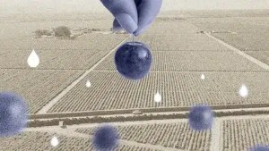 Las frutas de la sed