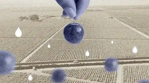 Las frutas de la sed