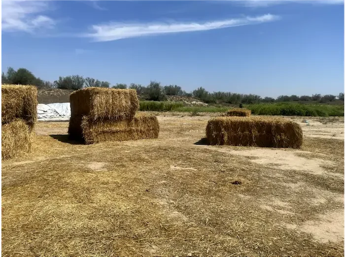 pacas de pastura